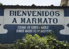 Los marmateños en acción