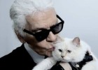 ‘Choupette’ Lagerfeld, una gata reportera