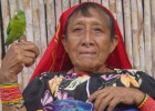 Panamá se involucra con la identidad de los pueblos originarios