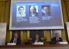 Nobel de química para los creadores del microscopio que detecta el nanomundo