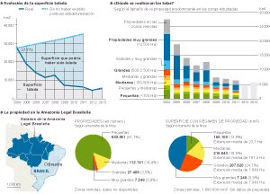 Los grandes propietarios, causantes de la deforestación de la Amazonia