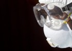 Els altres virus que ens esperen