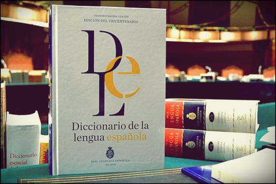 José Manuel Blecua: “Hay una visión anecdótica del trabajo lexicográfico”