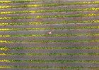 Així és la primera pel·lícula eròtica rodada amb drones
