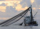 Biólogo a bordo, pesca sostenible