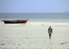 El paraíso de las recolectoras de algas