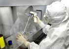 El tribunal europeo permite patentar ‘pseudoembriones’