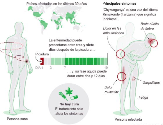 Las enfermedades que no olvidamos