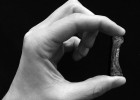 Hace más de tres millones de años ya había manos humanas