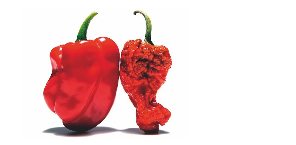 ¿Todavía me lo puedo comer? ¿Todavía me lo puedo comer?