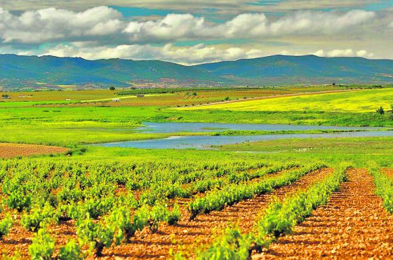 Afloramientos del Guadiana.