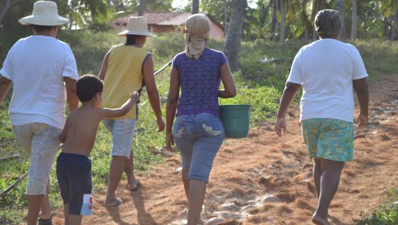 Un grupo de mujeres se desplaza en busca de la fruta.