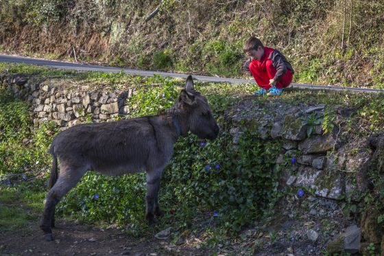 Seis sugerencias para reconciliarse con la naturaleza este fin de semana