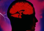 Échele la culpa al cerebro