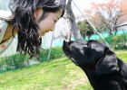 Desvendado o mecanismo do amor entre os cachorros e seus donos