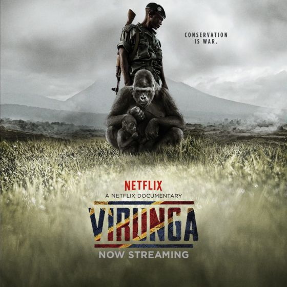 Virunga como salvavidas