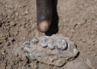 Hallado otro posible ancestro de todos los humanos