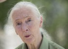 “Los científicos experimentan con animales porque es lo que han hecho siempre”