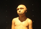 El ‘Homo antecessor’ se hace mayor de edad