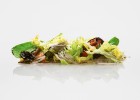El gusto por lo saludable