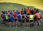Así son los ‘Leones’