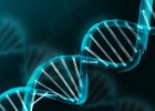Una huella de la metástasis señala el punto de origen del cáncer