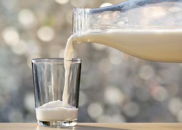 Cómo responder al típico que dice que la leche es mala