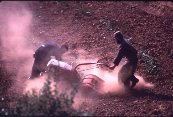 El trabajo en los pequeños huertos ocupa buena parte de la jornada de los monjes