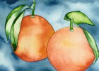 Las naranjas y la Royal Navy