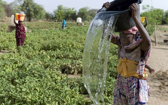 Unas mujeres cargan agua en Mauritania