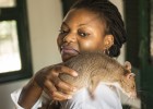 Estas ratas huelen la tuberculosis