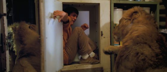 Los peligros de tener a un león en tu cocina Los peligros de tener a un león en tu cocina
