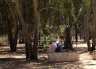 Los parques del mundo
