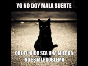 Cabronazi, el humor bestia que invade la red
