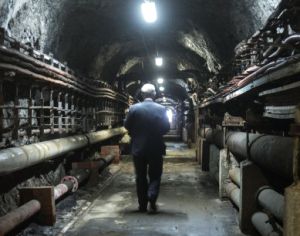 Cinco historias de este jueves que te sorprenderán