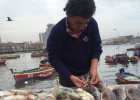 Antofagasta busca sua cozinha