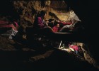 Secuenciado el ADN nuclear de los fósiles de Atapuerca