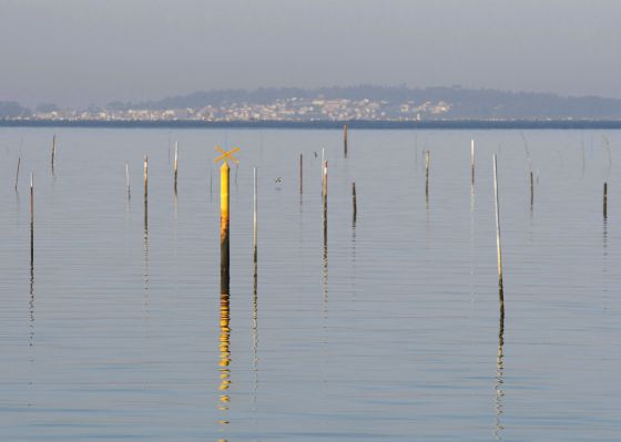 A shellfish extraction area in Villagarcia de Arousa.