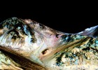 La NASA troba noves proves d’aigua líquida a Mart