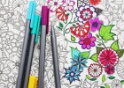 ¿Sería capaz de colorear sin salirse cualquiera de estos seis dibujos?