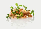 Nutrir el planeta