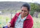 Día Internacional de las Mujeres Rurales