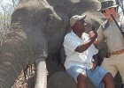Caçador alemão mata o maior elefante do Zimbábue
