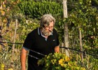 El milagro del Priorat