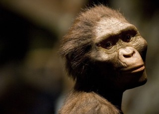 ¿Quién es Lucy, la australopiteco?