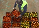 Comienza la ‘Gran Recogida’