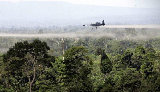 Fumigación de cultivos de coca con glifosato en Colombia