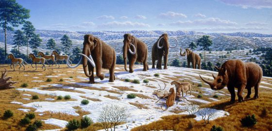 Algunos de los animales que vivían en el norte de España durante la última edad de hielo y que ya se han extinguido