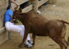 Resumen del año 2015: Agosto