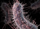 Resistência a antibióticos causa 33.000 mortes por ano na Europa
